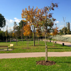 De Torrent a Parc. Un recorregut històric pel parc de la Fontsanta - Open House BCN