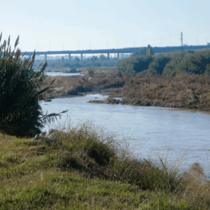 El riu Llobregat (dissabtes, diumenges i festius)