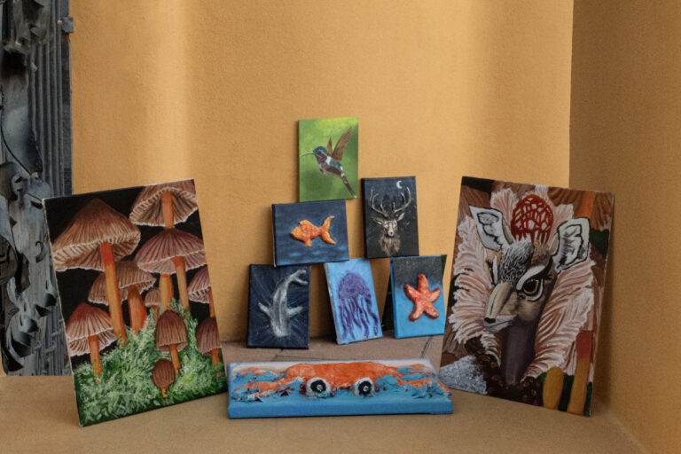 Natura, obres de l’alumnat de l’Escola Municipal d’Art